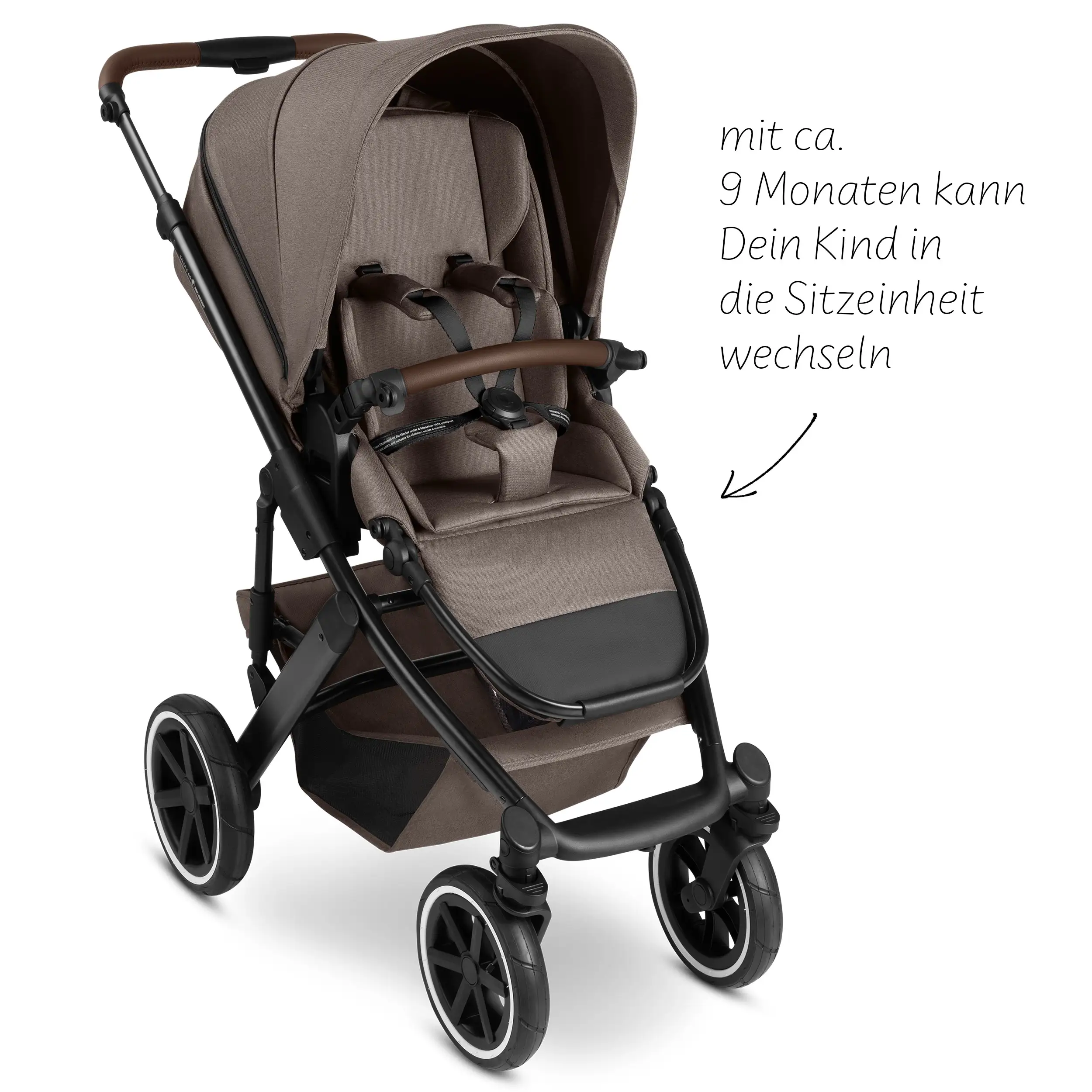 2in1 Stroller Salsa 5 Air - Nature