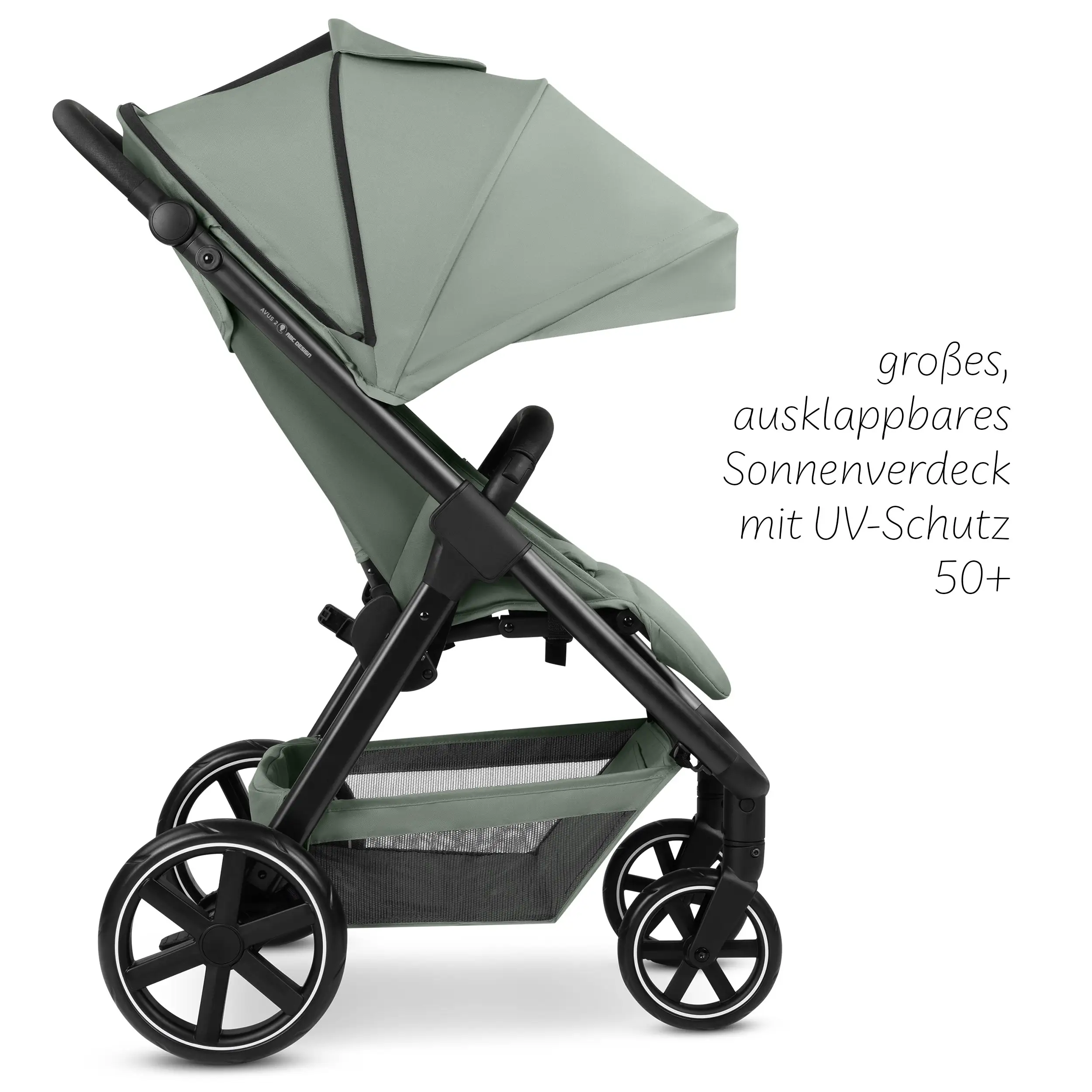 Buggy Avus 2