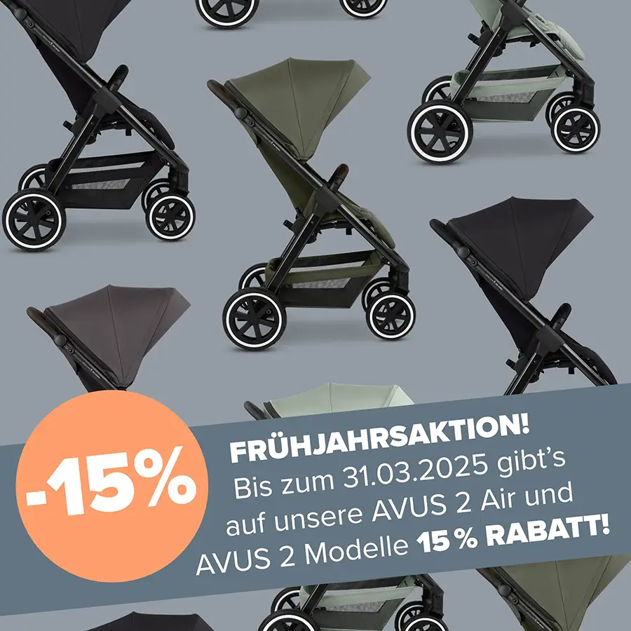 ABC Design Buggy Avus 2