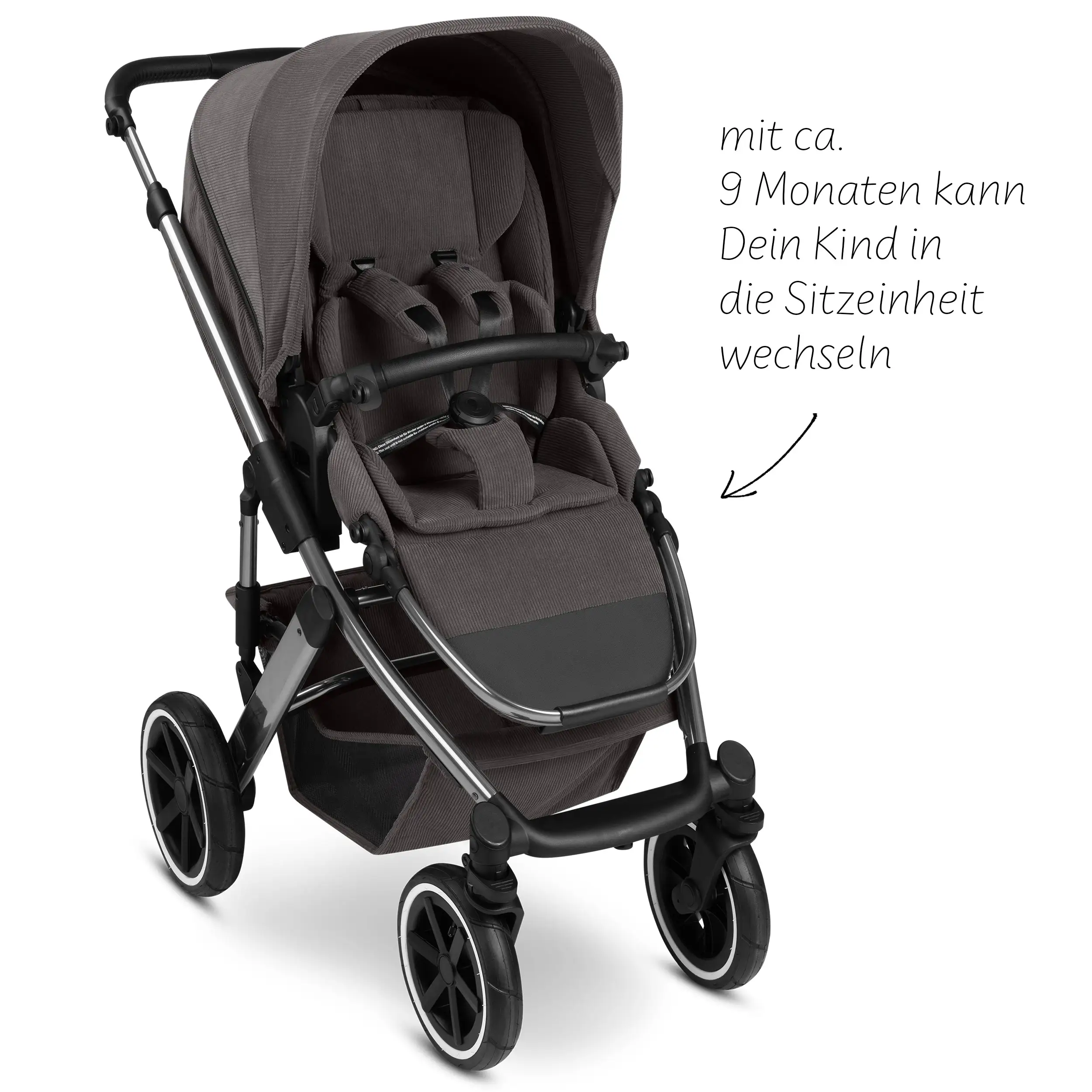 2in1 Stroller Salsa 5 Air - Almond