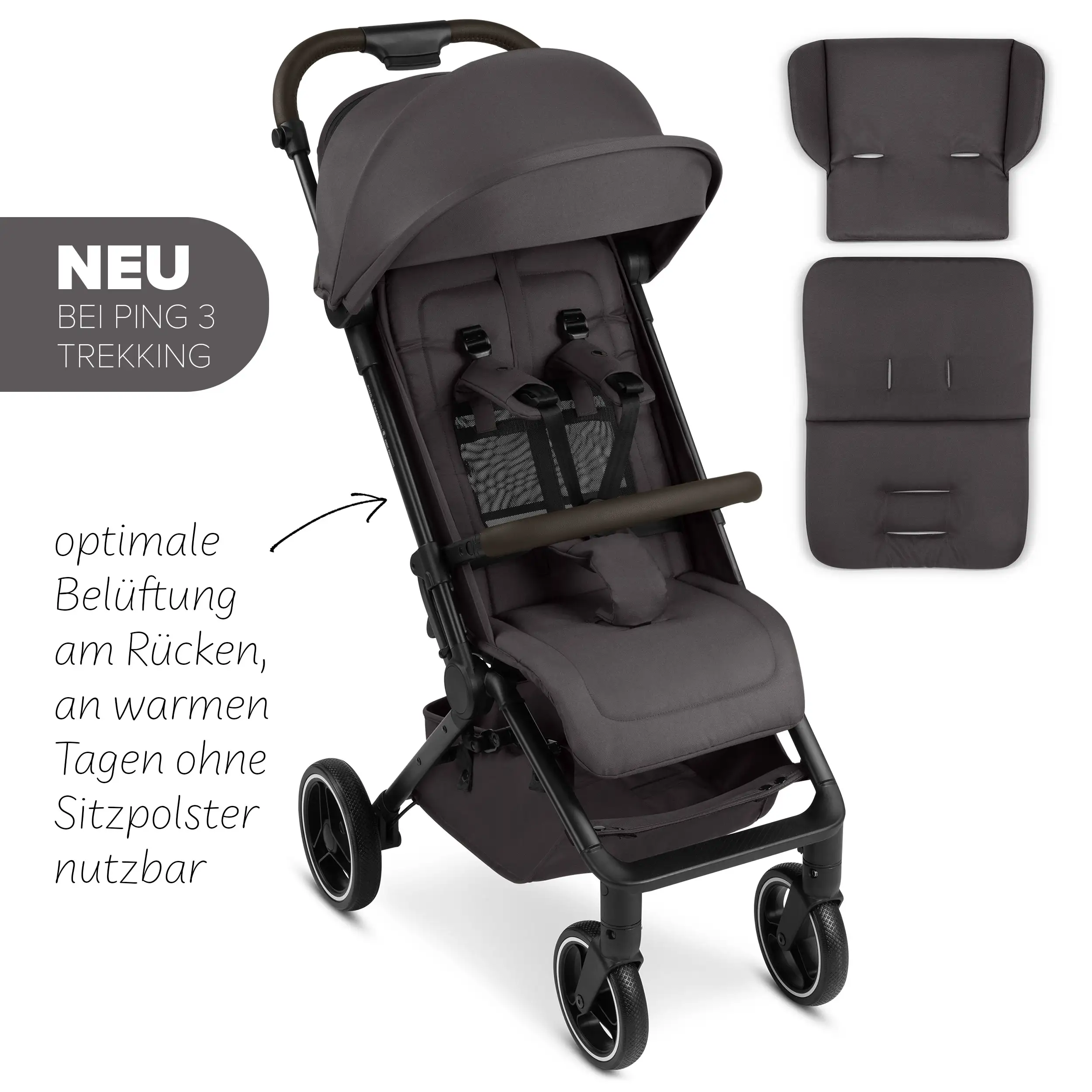 Reisebuggy Ping 3 Trekking mit Zubehörset - Falcon