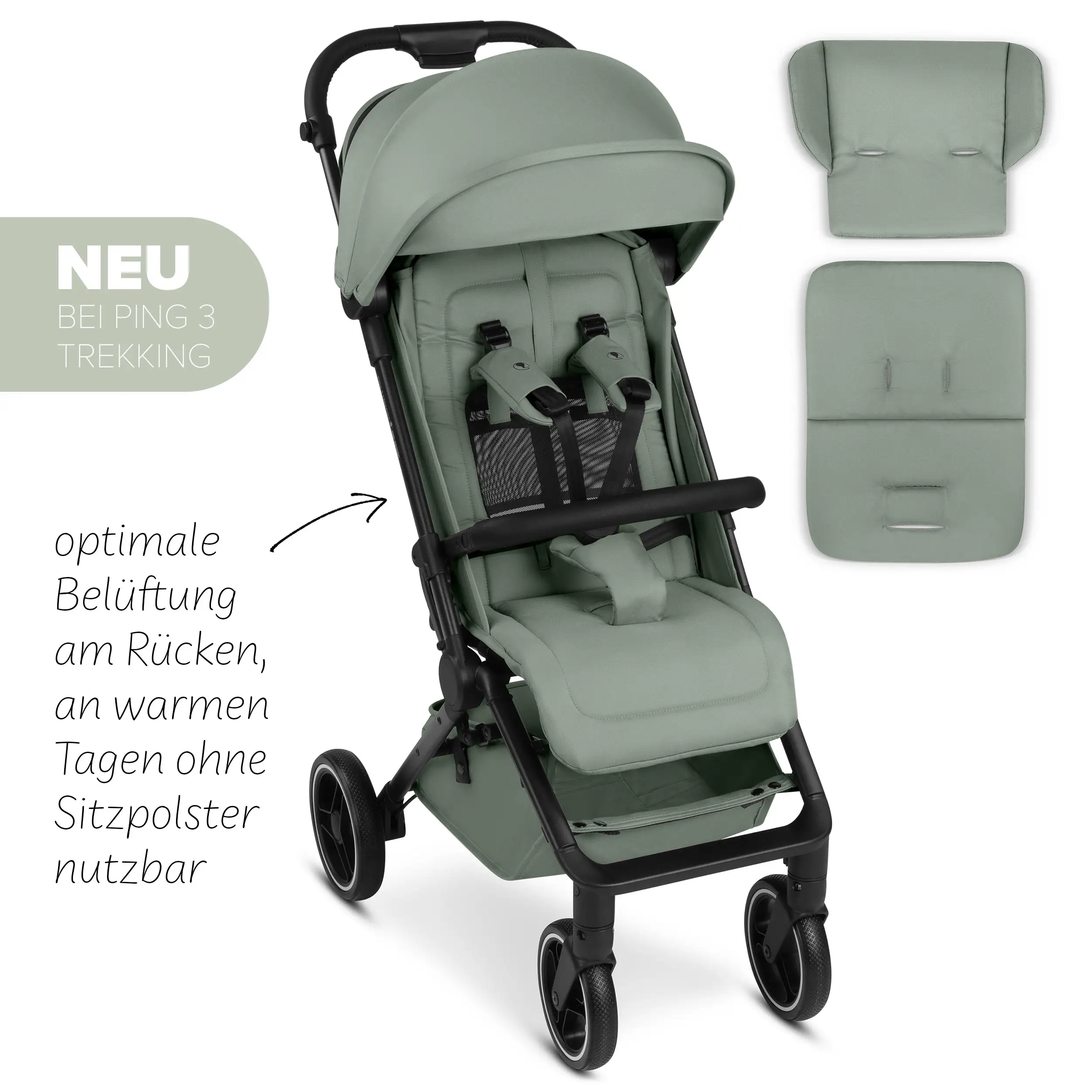 Reisebuggy Ping 3 Trekking mit Zubehörset - Pine