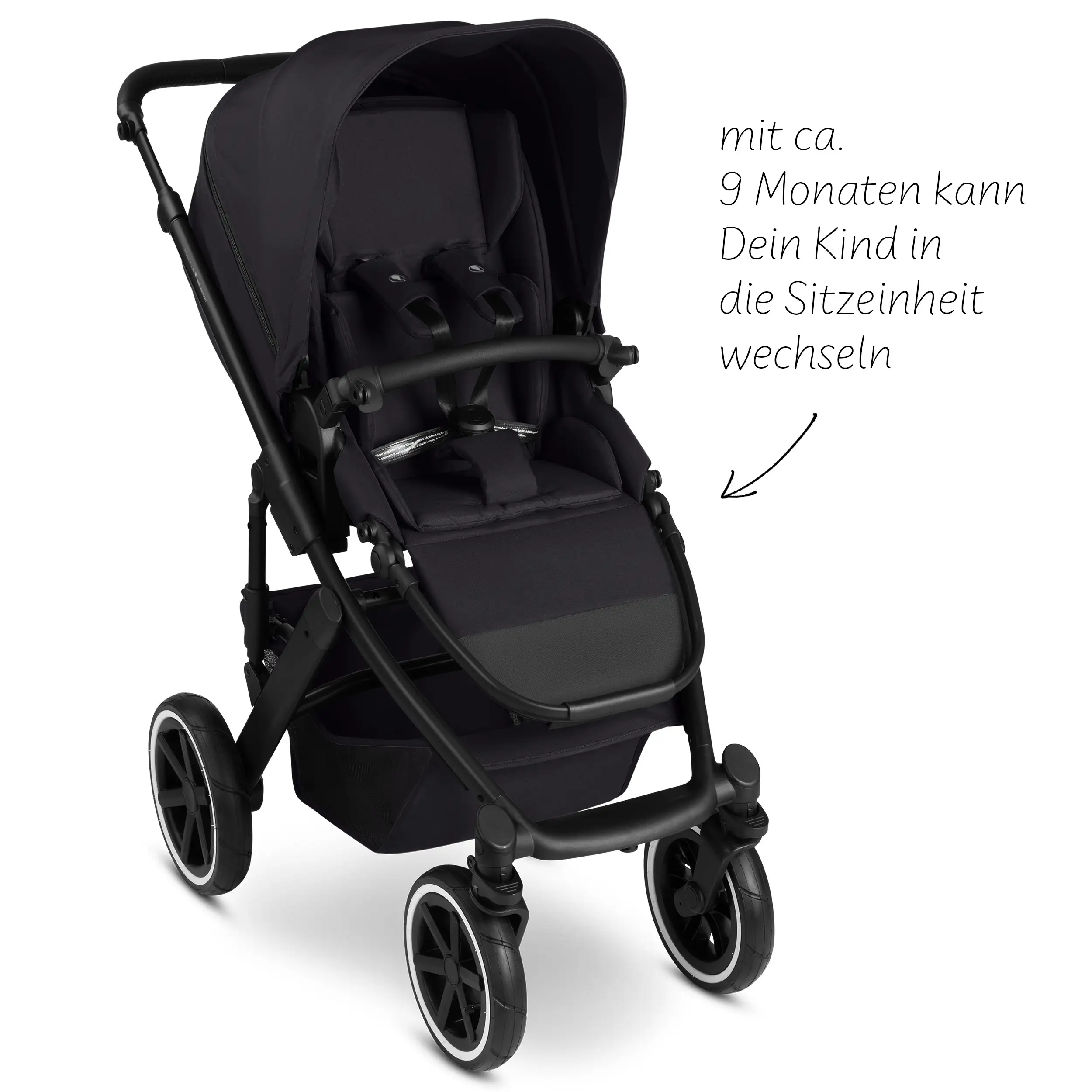 2in1 Stroller Salsa 5 Air - Coal